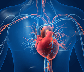 cardiologos